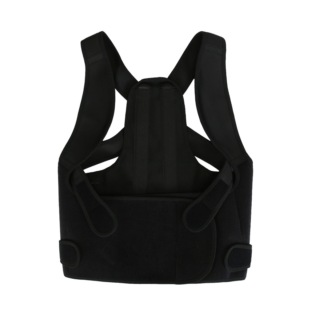 Posture Support Brace